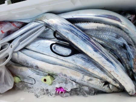 オーフリー 釣果