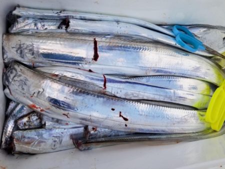 オーフリー 釣果