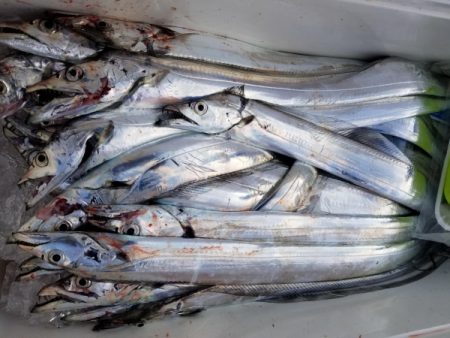 オーフリー 釣果