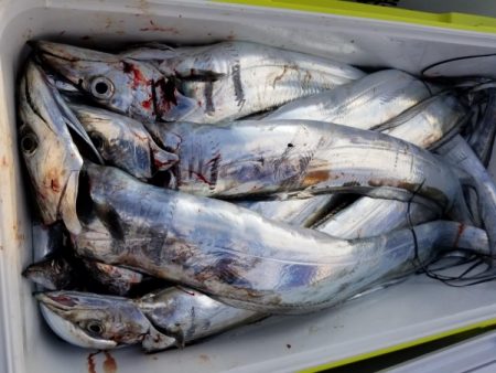 オーフリー 釣果