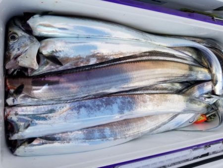 オーフリー 釣果