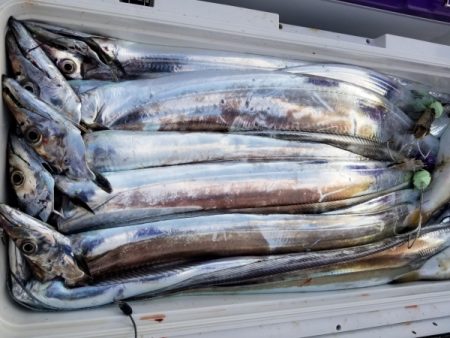 オーフリー 釣果