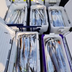 オーフリー 釣果