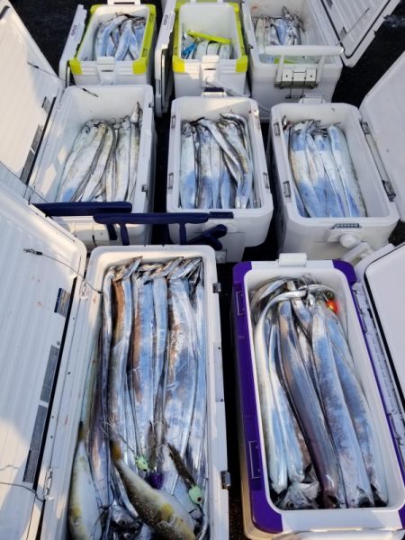 オーフリー 釣果