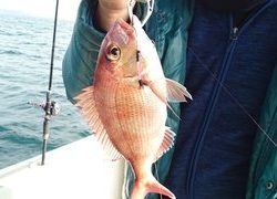 愛裕南丸 釣果
