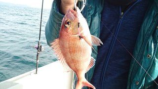 愛裕南丸 釣果