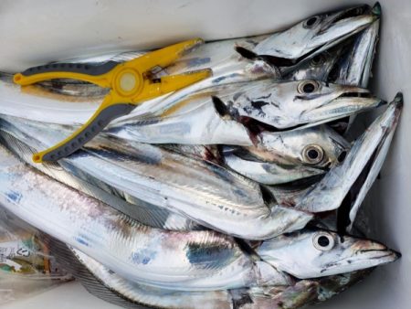 オーフリー 釣果