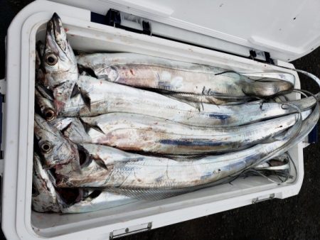 オーフリー 釣果