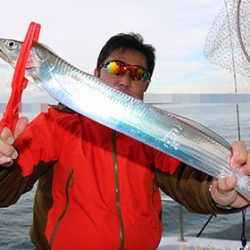 松本釣船２ 釣果