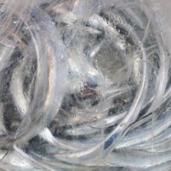 松本釣船２ 釣果