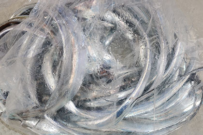 松本釣船２ 釣果