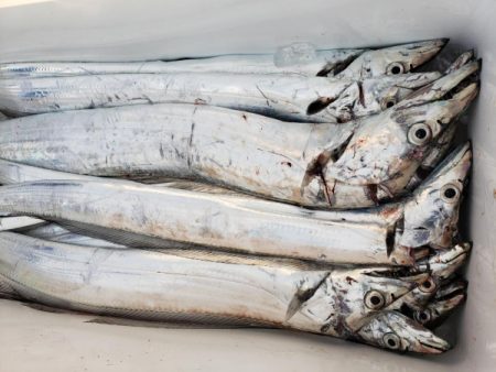 オーフリー 釣果