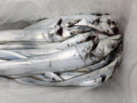 オーフリー 釣果