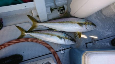 海龍丸（福岡） 釣果