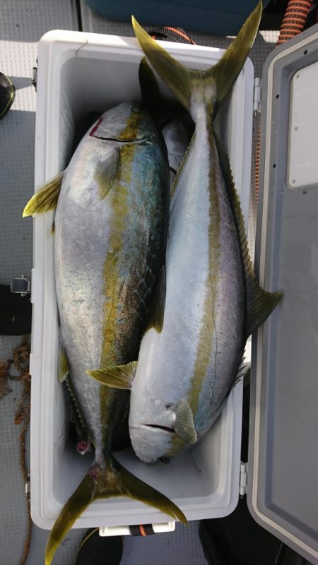 海龍丸（福岡） 釣果