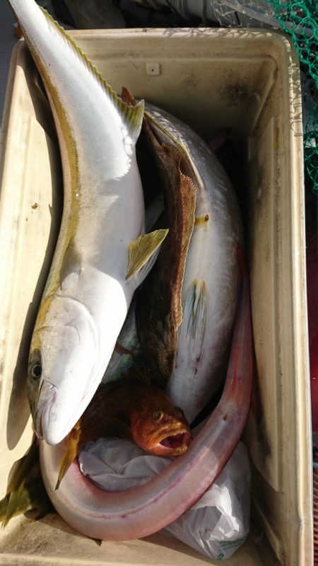 海龍丸（福岡） 釣果