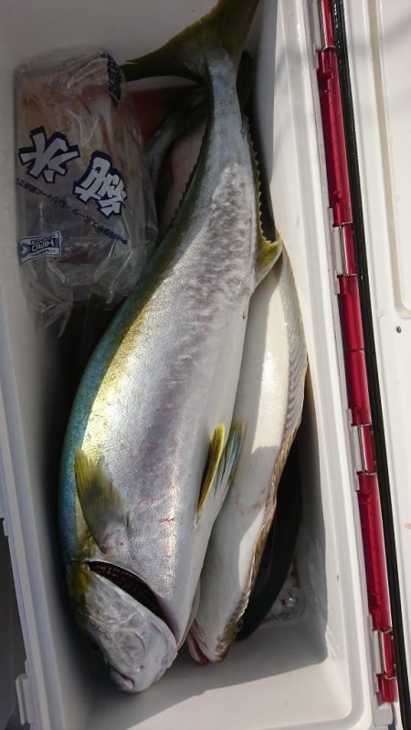 海龍丸（福岡） 釣果