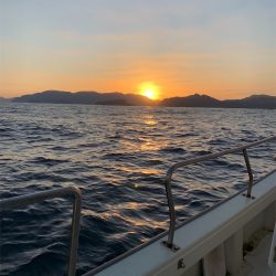 マタウマリンサービス 釣果