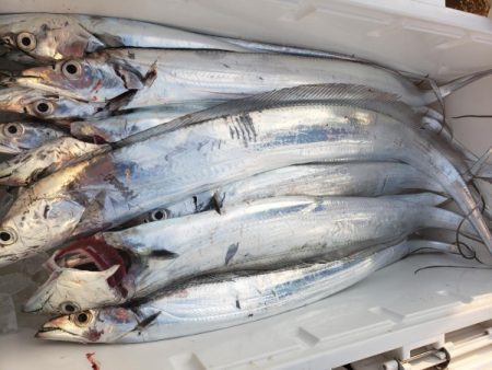 オーフリー 釣果