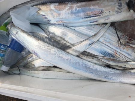 オーフリー 釣果