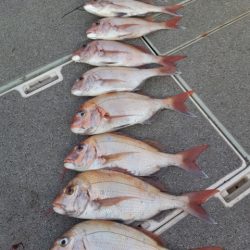 飛燕さくら丸 釣果