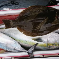 海龍丸（福岡） 釣果