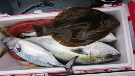 海龍丸（福岡） 釣果