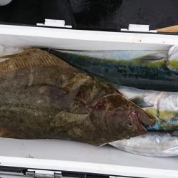海龍丸（福岡） 釣果