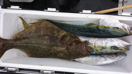海龍丸（福岡） 釣果