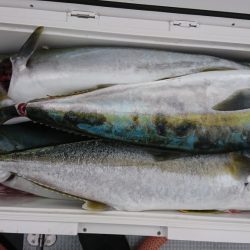 海龍丸（福岡） 釣果