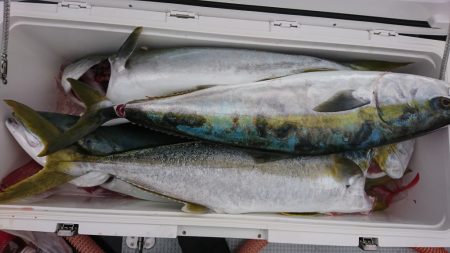 海龍丸（福岡） 釣果