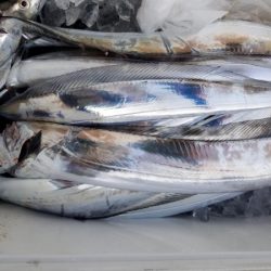 オーフリー 釣果