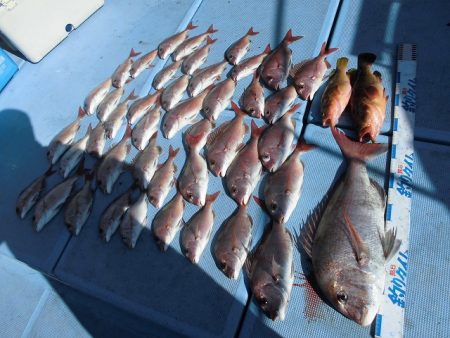 十八宝洋丸 釣果