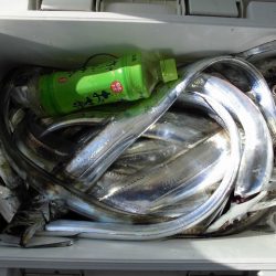 十八宝洋丸 釣果