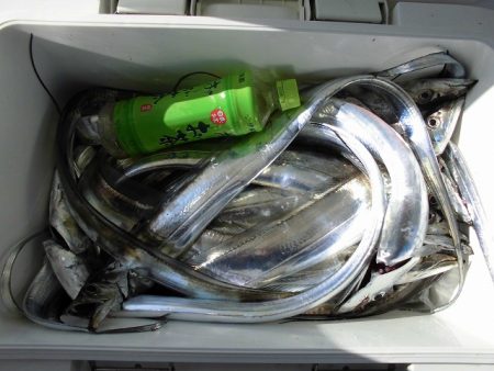 十八宝洋丸 釣果