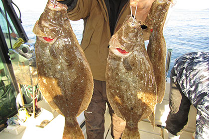 松本釣船２ 釣果