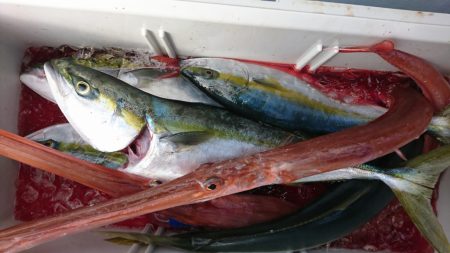 海龍丸（福岡） 釣果