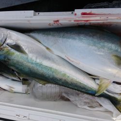 海龍丸（福岡） 釣果