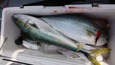 海龍丸（福岡） 釣果