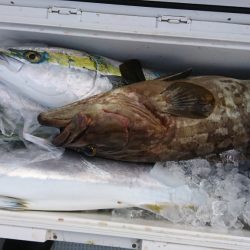 海龍丸（福岡） 釣果