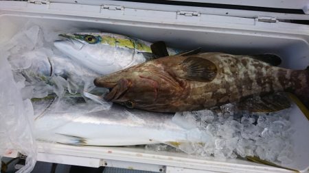 海龍丸（福岡） 釣果