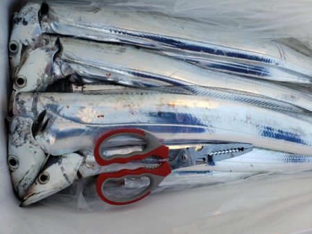 オーフリー 釣果