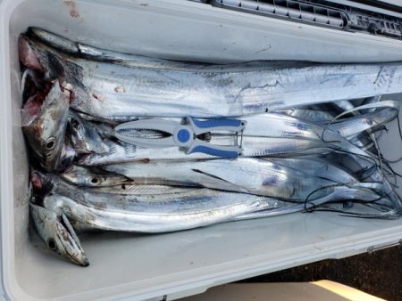 オーフリー 釣果