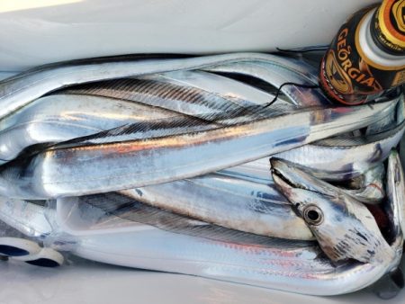 オーフリー 釣果