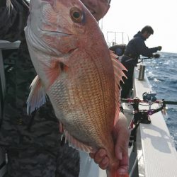 海龍丸(福岡) 釣果