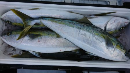 海龍丸(福岡) 釣果