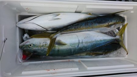 海龍丸(福岡) 釣果