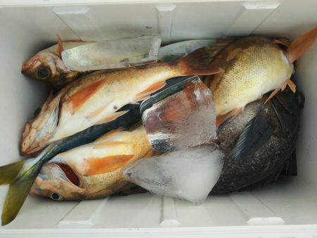 モンロー号 釣果