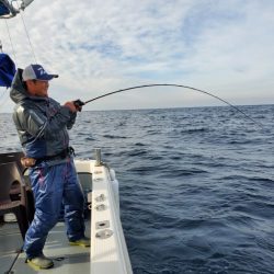 ブルーピア 釣果