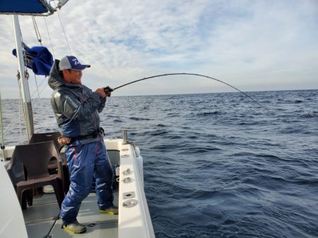 ブルーピア 釣果